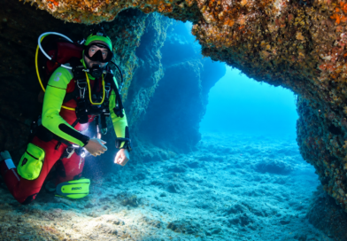 Diari dal Blu. Un reportage dal Regno di Nettuno di Ciro Dell’Anno | 17