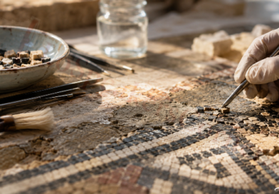 Ercolano, il Progetto Domus